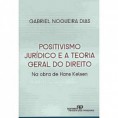 POSITIVISMO JURÍDICO E A TEORIA GERAL DO DIREITO
